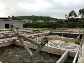 養豬場廢臭水投加臭氧消毒滅菌，養豬場專用臭氧發生器