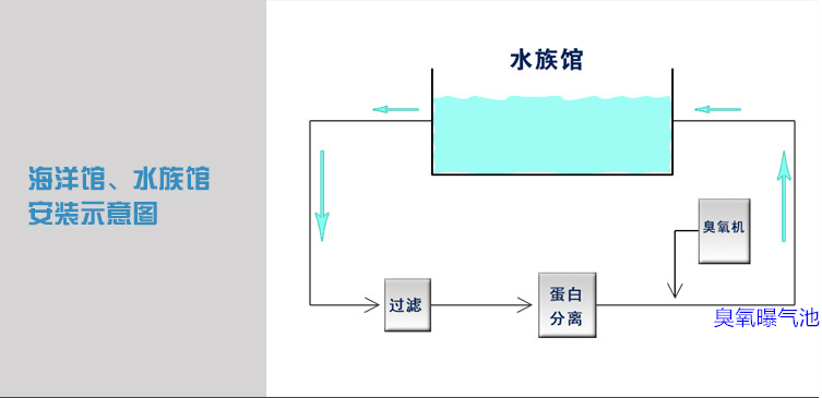 海洋館過濾，蛋分，臭氧，曝氣池.png
